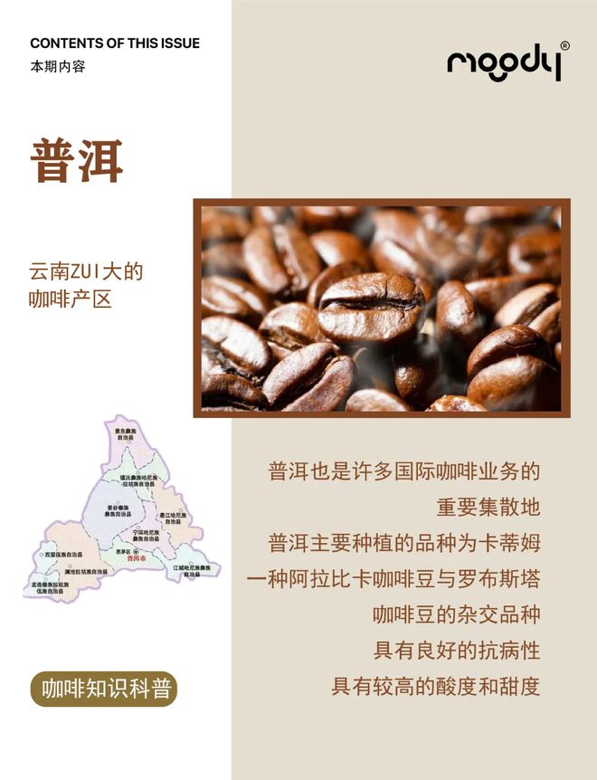 ：彩云之南的馥郁传奇ky开元棋牌云南咖啡(图1)