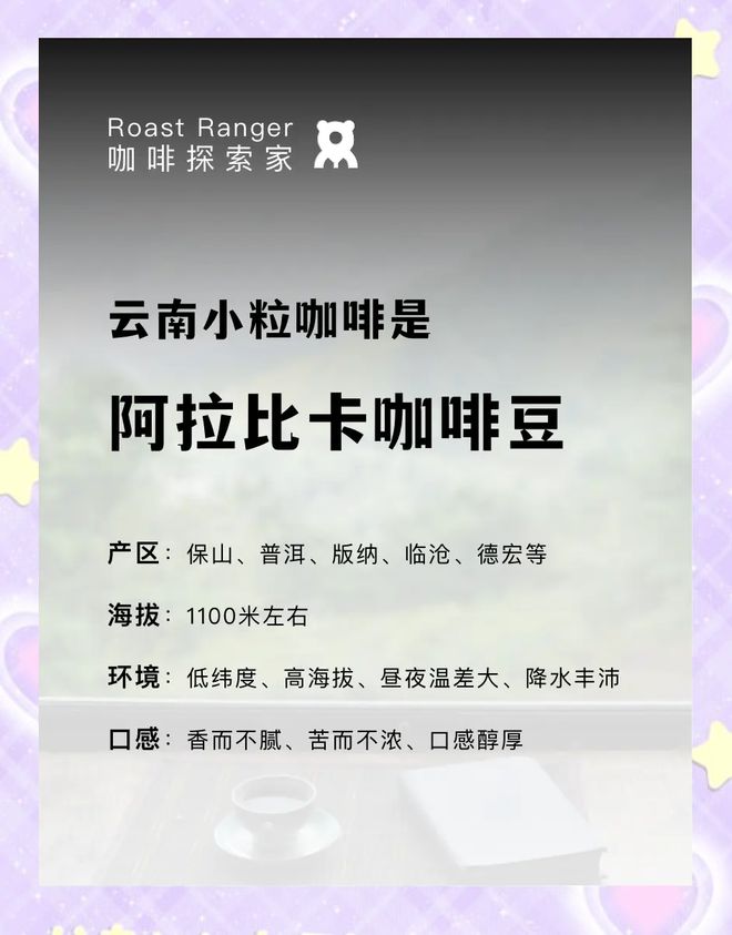 ：彩云之南的馥郁传奇ky开元棋牌云南咖啡(图10)