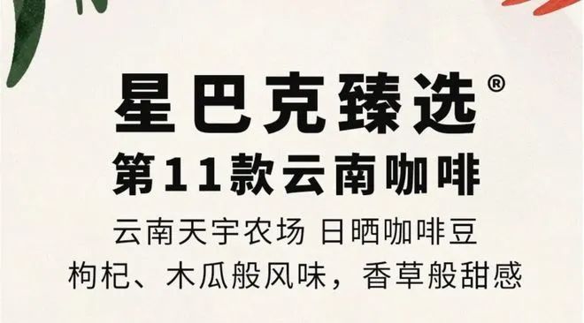 ：彩云之南的馥郁传奇ky开元棋牌云南咖啡(图18)
