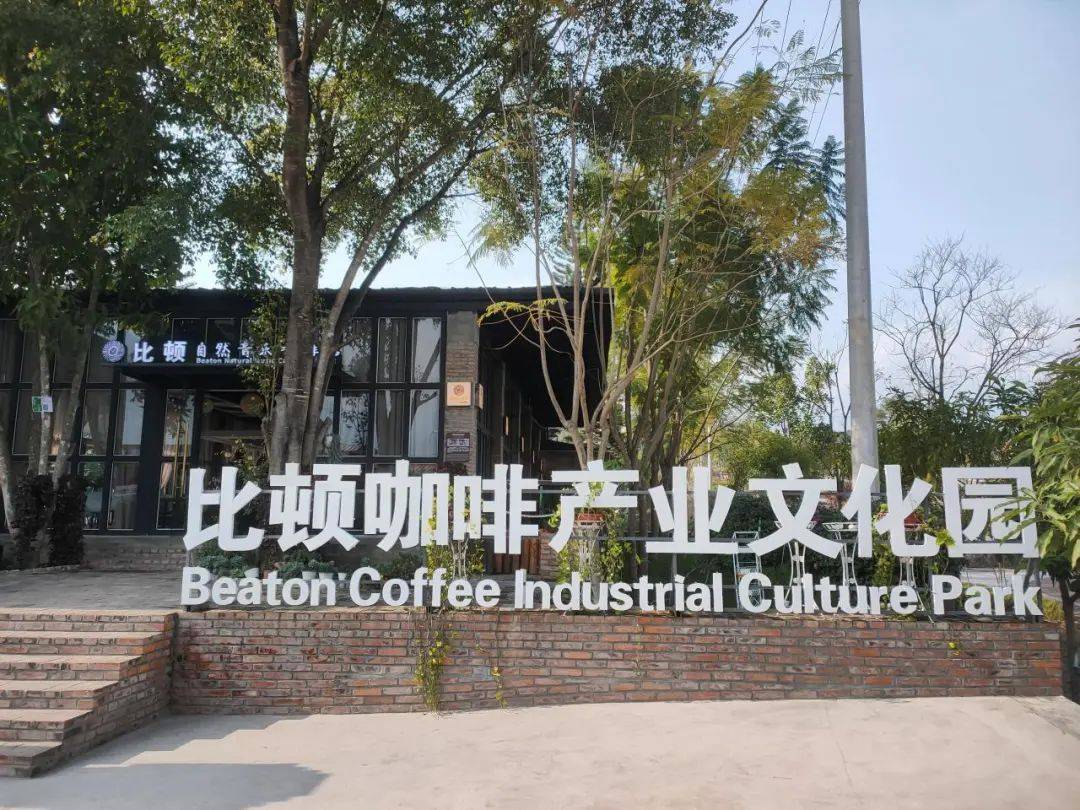 合发展 推动特色产业兴旺开元棋牌隆阳：咖啡产业融(图6)